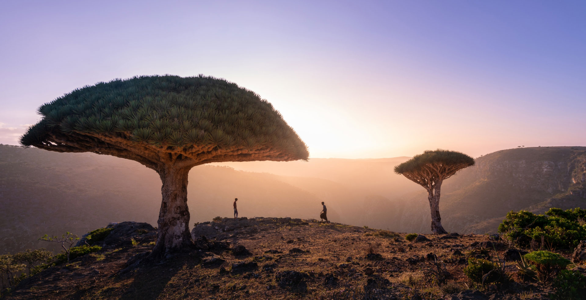 Socotra banner image 4 – dramatic island scenery